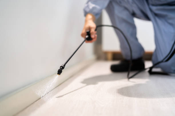Rodent Entry Point Assessment in Branson