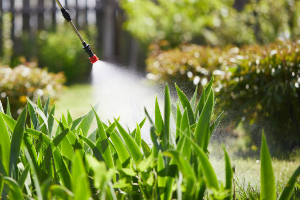 Tamper-Resistant Bait Stations for Rodents in Branson