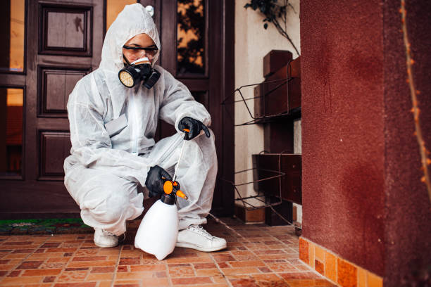 Attic and Crawl Space Rodent Treatment in Branson